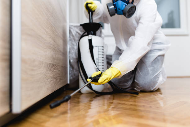 Best Rat Extermination Near Me  in Princeton, IL