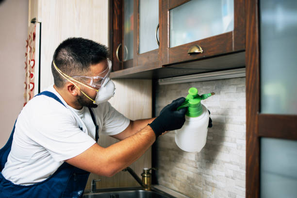 Best Exterminator Services  in Princeton, IL