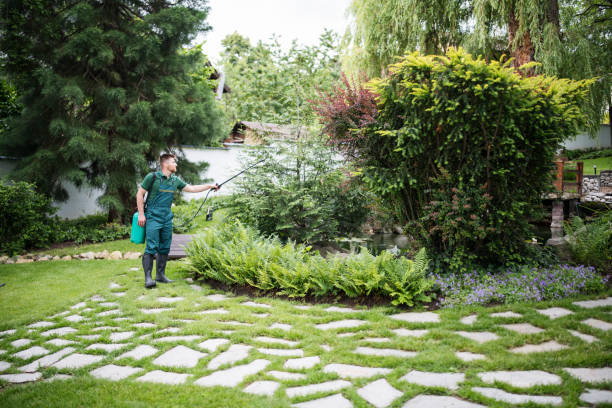Best Affordable Pest Control Services  in Princeton, IL