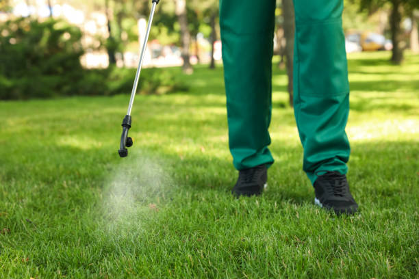 Best Flea Control Services  in Princeton, IL