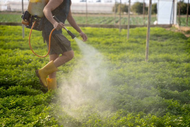 Reliable Princeton, IL Pest Control Solutions