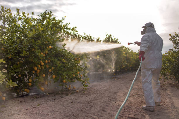 Best Emergency Pest Control  in Princeton, IL