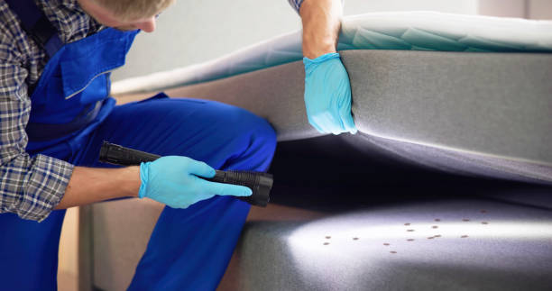 Best Best Pest Control Companies  in Princeton, IL