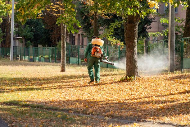 Trusted Princeton, IL Pest Control Experts