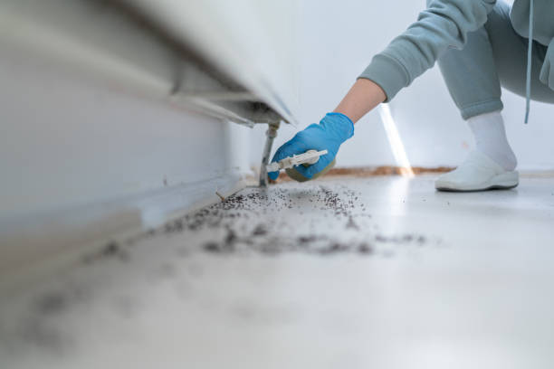 Best Local Pest Control Services  in Princeton, IL