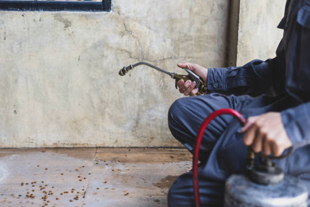 Best Pest Prevention Services  in Princeton, IL